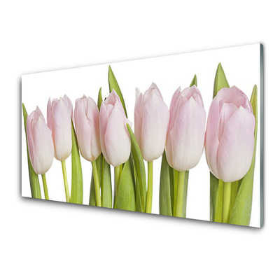 Slika na steklu Tulipani cvetovi rastlin