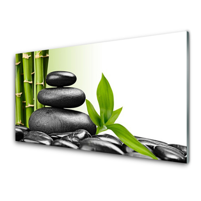 Slika na steklu Bambus zen kamni art