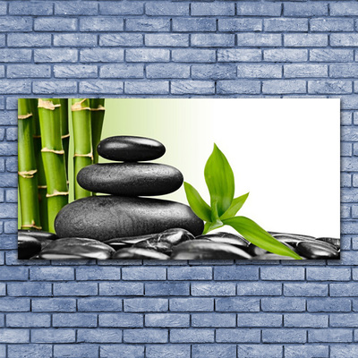 Slika na steklu Bambus zen kamni art
