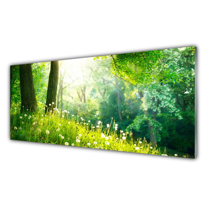 Slika na steklu Travnik narava rastlin