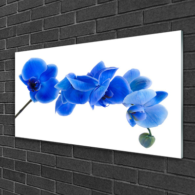 Slika na steklu Narava cvet rastlina