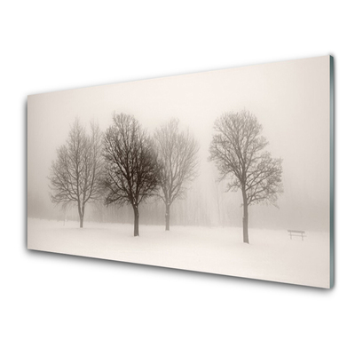Slika na steklu Sneg landscape drevesa