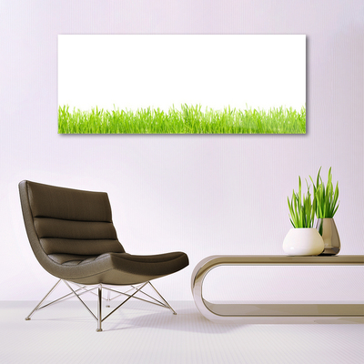 Slika na steklu Grass nature rastlin