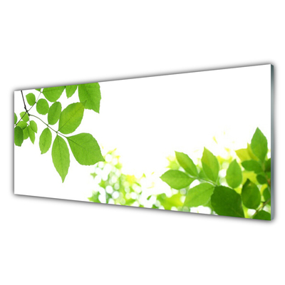 Slika na steklu Narava cvetnih listov rastlin