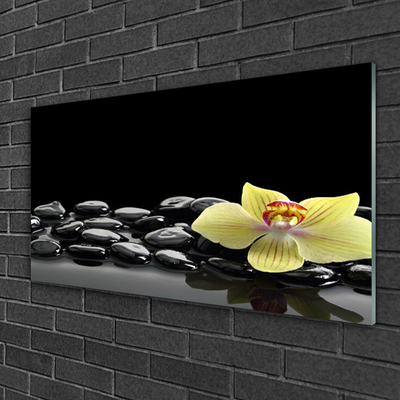 Slika na steklu Črn cvet kuhinja