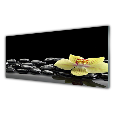 Slika na steklu Črn cvet kuhinja