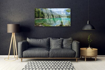 Slika na steklu Narava mountains lake forest