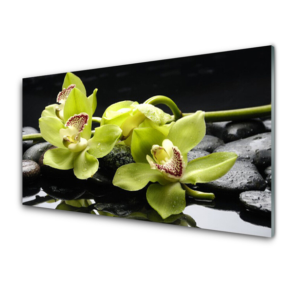 Slika na steklu Cvet orhideje rastlin