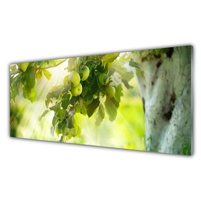 Slika na steklu Apple tree branch narava