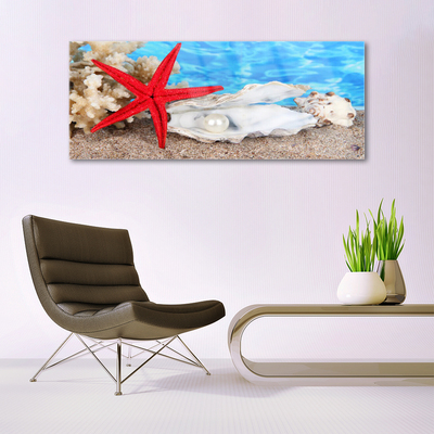 Slika na steklu Starfish školjke narava