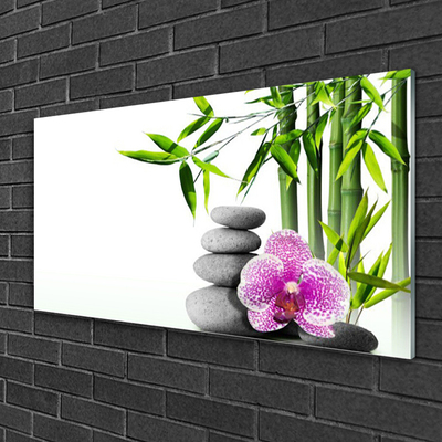 Slika na steklu Spa zen bamboo art