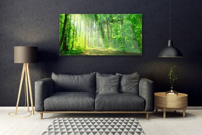 Slika na steklu Gozdna pot drevesa narava