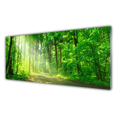 Slika na steklu Gozdna pot drevesa narava