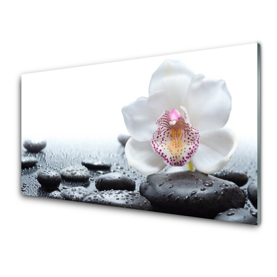 Slika na steklu Orchid flower art
