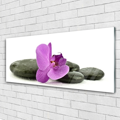 Slika na steklu Orchid cvet orhideje