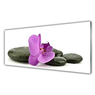 Slika na steklu Orchid cvet orhideje
