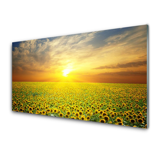 Slika na steklu Sun meadow sončnice