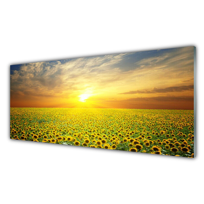 Slika na steklu Sun meadow sončnice