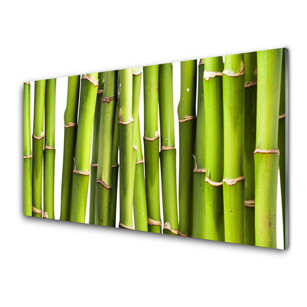Slika na steklu Bamboo rastlin narava