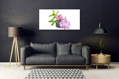Slika na steklu Cvet orhideje rastlin