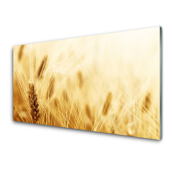 Slika na steklu Pšenica rastlin narava