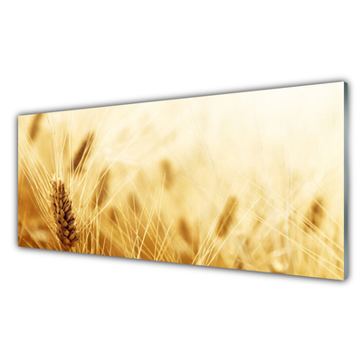 Slika na steklu Pšenica rastlin narava