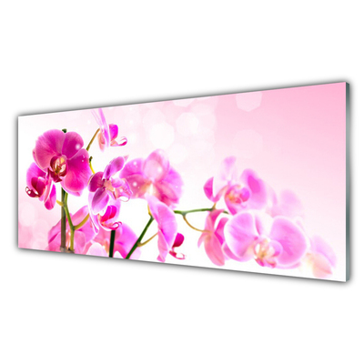 Slika na steklu Cvetovi rastlin narava