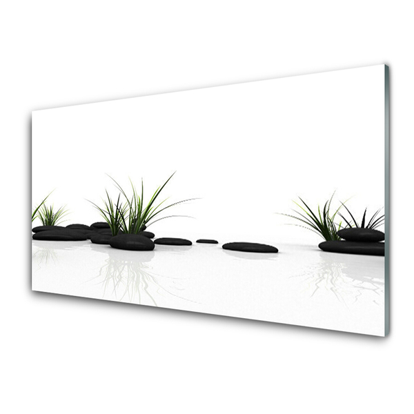Slika na steklu Grass water mirror