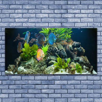 Slika na steklu Fish aquarium narava