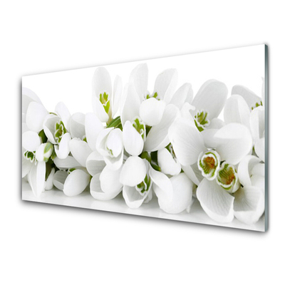 Slika na steklu Cvetovi rastlin narava