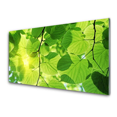 Slika na steklu Listi narava rastlin