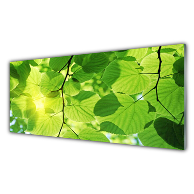 Slika na steklu Listi narava rastlin