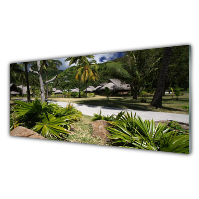 Slika na steklu Listi palm trees narava