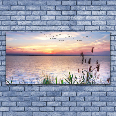Slika na steklu Pas sea sky landscape