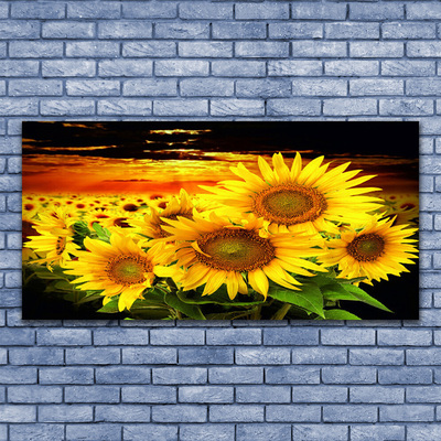 Slika na steklu Sončnica flower rastlin