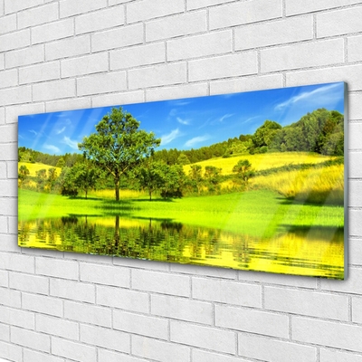 Slika na steklu Drevo travnik narava
