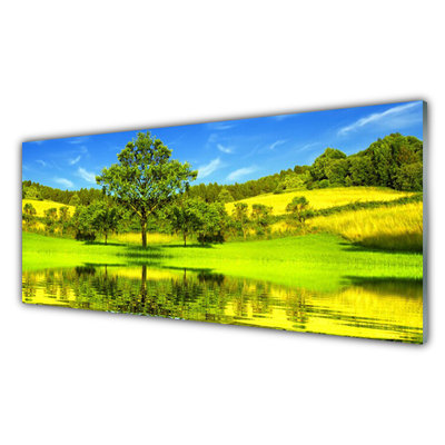 Slika na steklu Drevo travnik narava