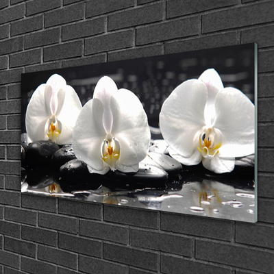 Slika na steklu Bela orhideja cvet