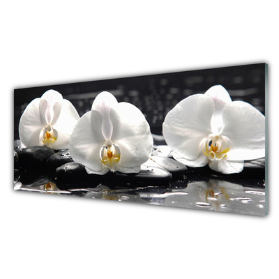Slika na steklu Bela orhideja cvet