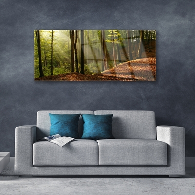 Slika na steklu Gozdna drevesa narava