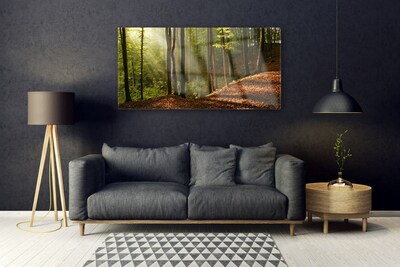 Slika na steklu Gozdna drevesa narava