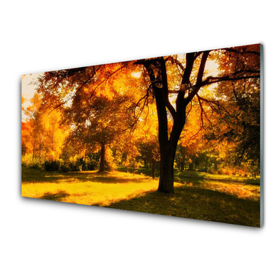Slika na steklu Drevesa jesen narava