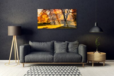 Slika na steklu Drevesa jesen narava