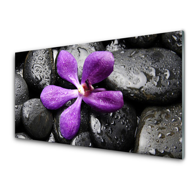 Slika na steklu Flower stones art