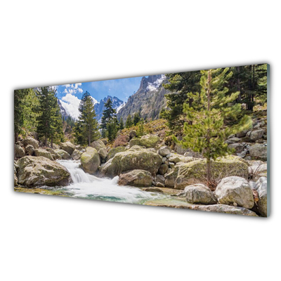 Slika na steklu Stones river mountain forest
