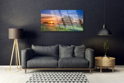 Slika na steklu Sun travnik landscape