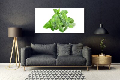 Slika na steklu Mint rastlin narava