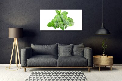Slika na steklu Mint rastlin narava