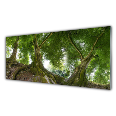 Slika na steklu Rastlin drevesa narava