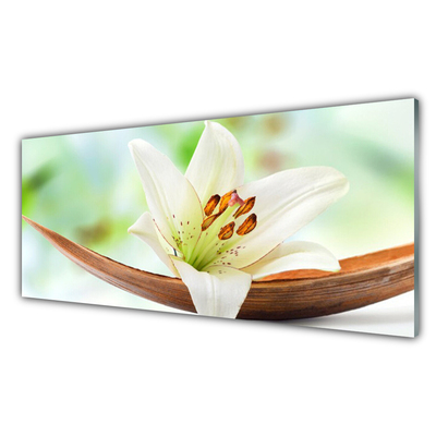 Slika na steklu Narava cvet rastlina
